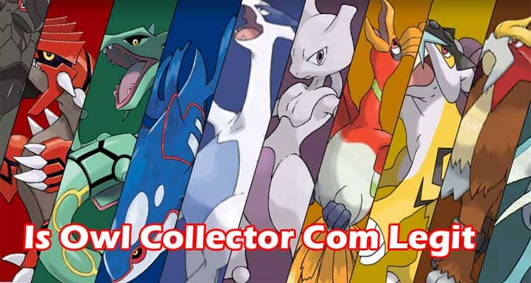 Is Owl Collector Com Legit (April) Read The Review Here!