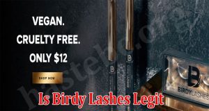 Birdy Lashes Online Website Reviews