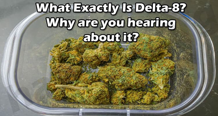 What Exactly Is Delta-8? Why are you hearing about it?