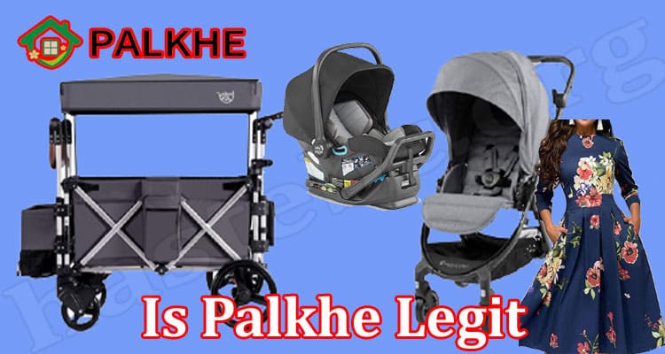 Is Palkhe Legit (Jan 2022) Essential Website Reviews!