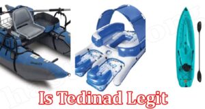 Tedinad Online Website Reviews