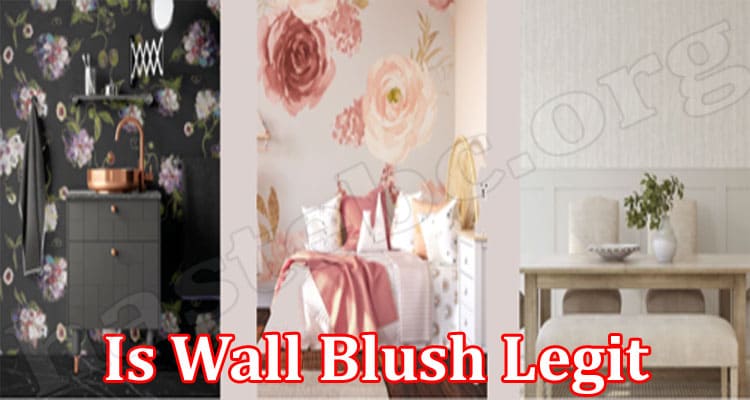 Wall Blush Online Website Reviews