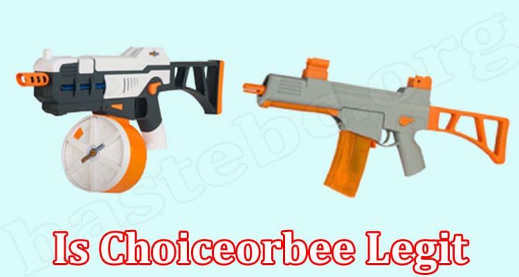 Choiceorbee Online Website Reviews
