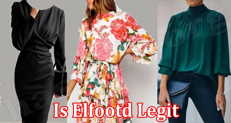 Is Elfootd Legit {March} Read The Entire Review Now!