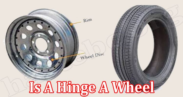 Is A Hinge A Wheel (March 2022) Detailed News Here!