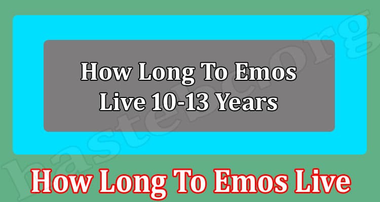 How Long To Emos Live {March} Get All Details Here!