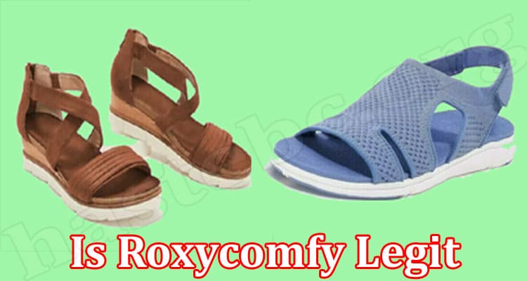 Is Roxycomfy Legit {March 2022} Detailed Website Review!