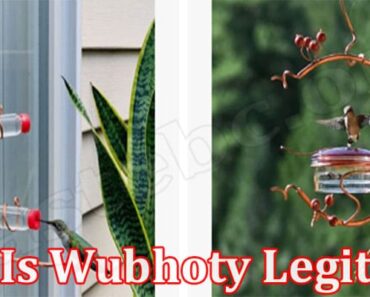 Is Wubhoty Legit {March 2022} Get A Fair Review Here!