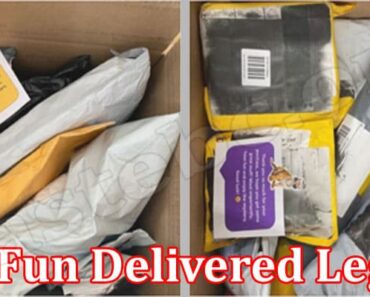 Is Fun Delivered Legit (April) Check Detailed Reviews!
