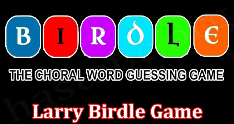 Gaming Tips Larry Birdle Game