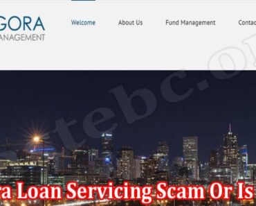Pingora Loan Servicing Scam Or Is It Real {April} Read!
