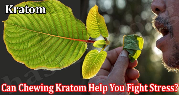 Complete Information Kratom Help You Fight Stress