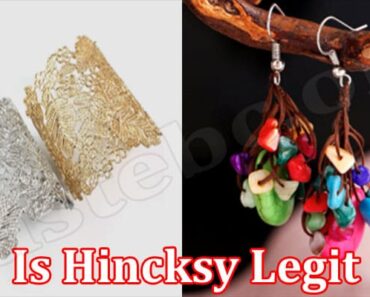Is Hincksy Legit {May 2022} Easy And Quick Review!
