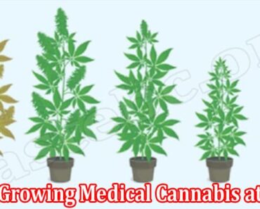 Things to Consider When Growing Medical Cannabis at Home