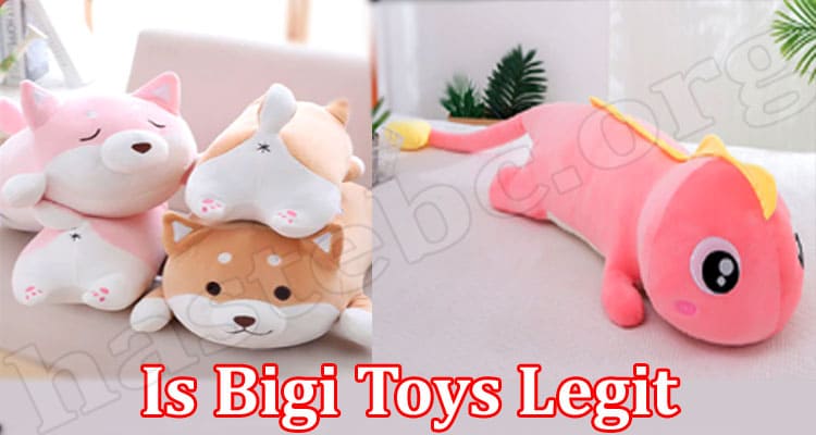 Bigi Toys Online Website Reviews
