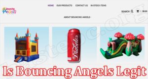 Bouncing Angels Online Website Reviews