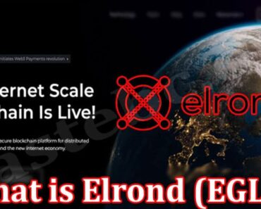 What is Elrond (EGLD) And Should You Invest In It 2022