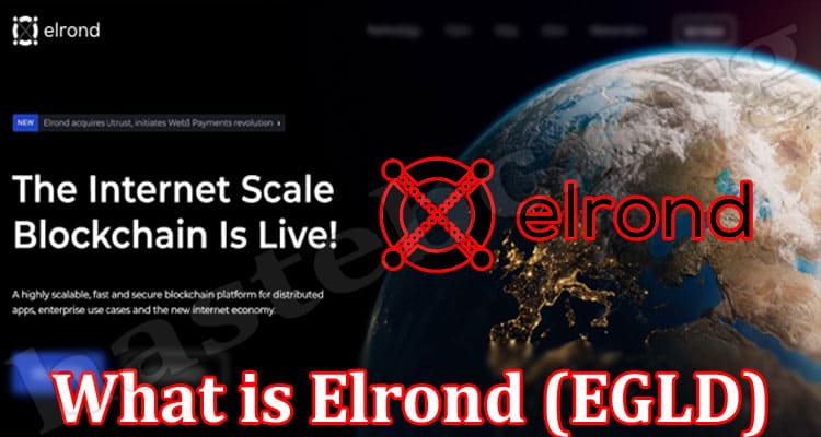What is Elrond (EGLD) And Should You Invest In It