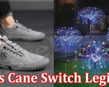 Is Cane Switch Legit {July 2022} Know The Review Here!