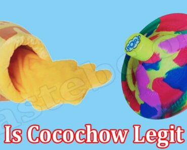 Is Cocochow Legit {July 2022} Read The Review Here!
