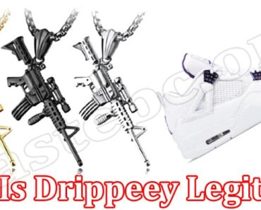 Is Drippeey Legit {July 2022} Explore The Reviews Now!
