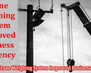 Understanding How The Crane Weighing System Improved Business Efficiency