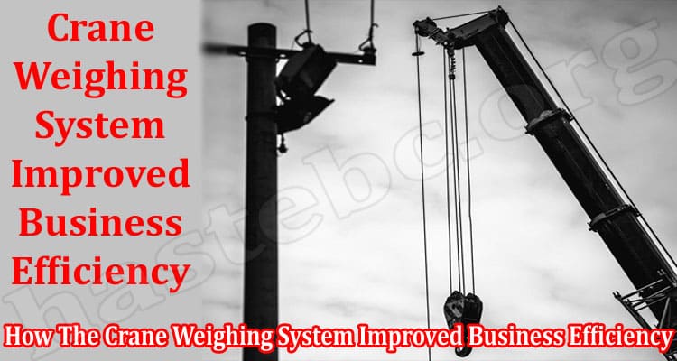 How The Crane Weighing System Improved Business Efficiency