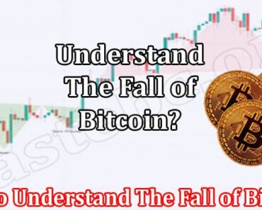 How to Understand The Fall of Bitcoin?