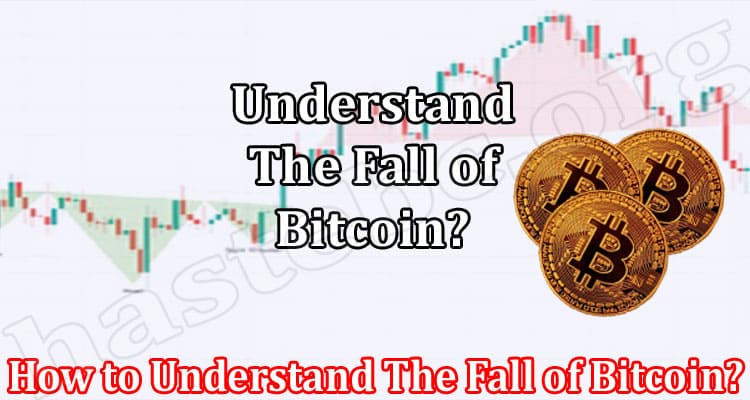 How to Understand The Fall of Bitcoin