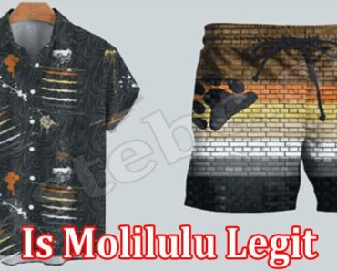 Is Molilulu Legit {July 2022} Complete Genuine Review!