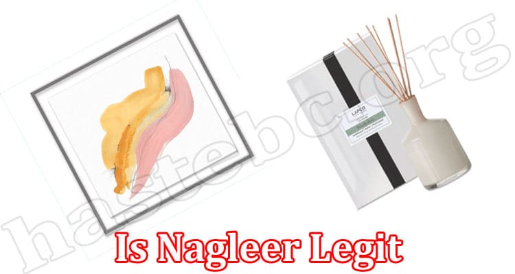 Nagleer Online Website Reviews