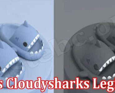 Is Cloudysharks Legit {Aug 2022} Find A Complete Review!
