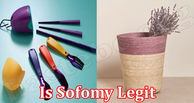 Is Sofomy Legit Online Website Reviews