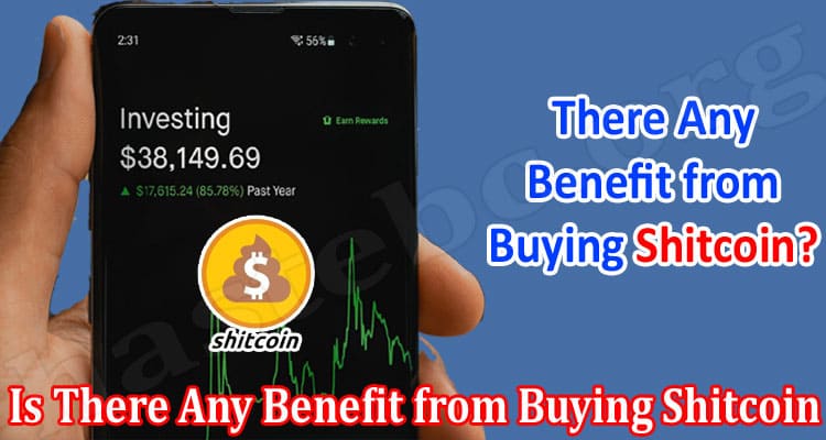 Is There Any Benefit from Buying Shitcoin