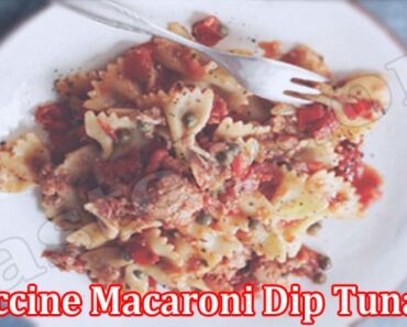 Fettuccine Macaroni Dip Tuna Joke {Aug 2022} Read Here!