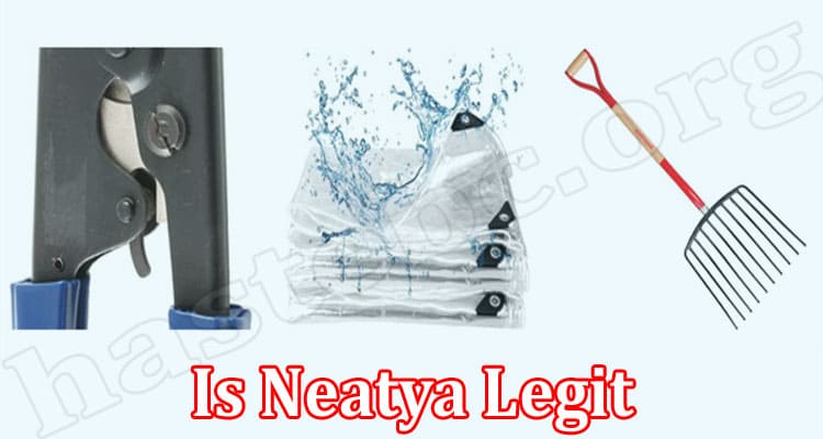 Neatya online website reviews