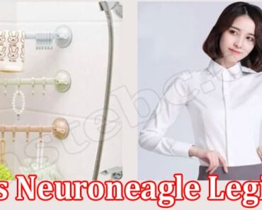 Is Neuroneagle Legit {Aug 2022} Easy & Quick Reviews!