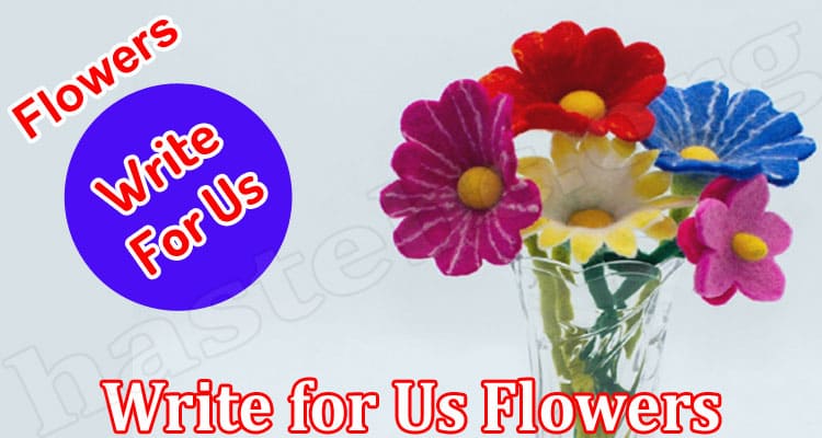 About General Information Write For Us Flowers