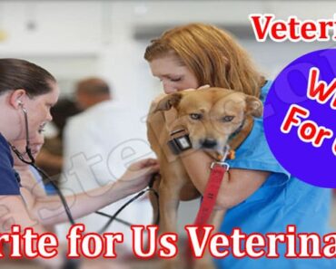 Write For Us Veterinary – Explore Instructions Here!