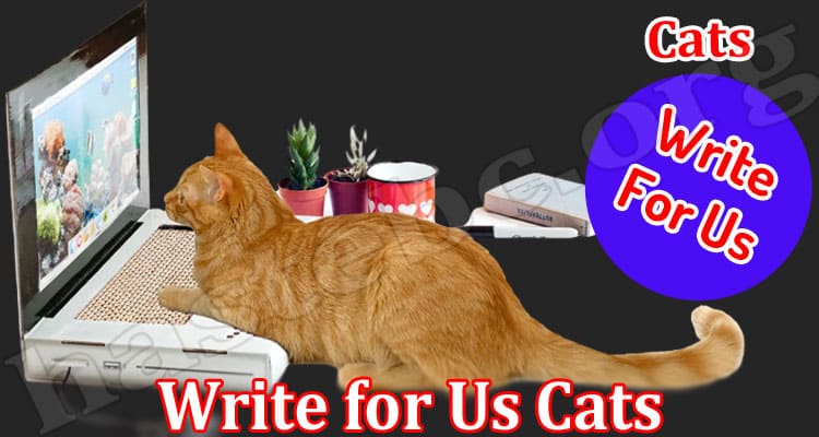 About General Information Write for Us Cats