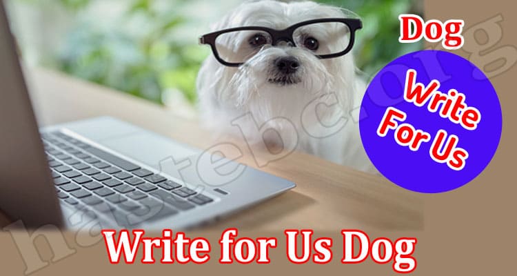 About General Information Write for Us Dog