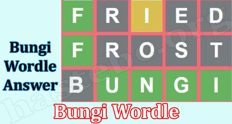 Gaming Tips Bungi Wordle