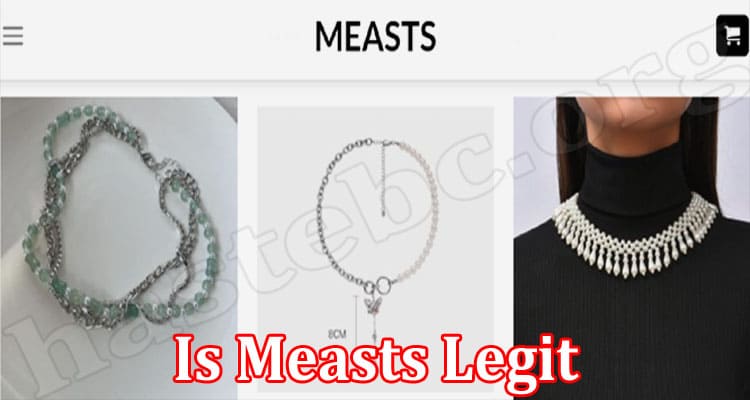 Measts Online website Reviews