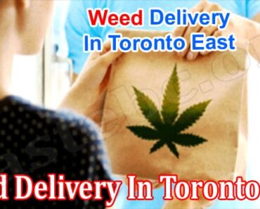 Weed Delivery In Toronto East: Everything You Need To Know