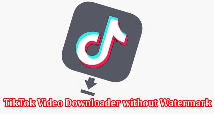 How to Download TikTok Video Downloader without Watermark