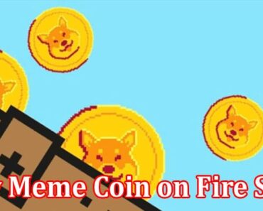 New Meme Coin on Fire SHIB and DOGE Investors Buying