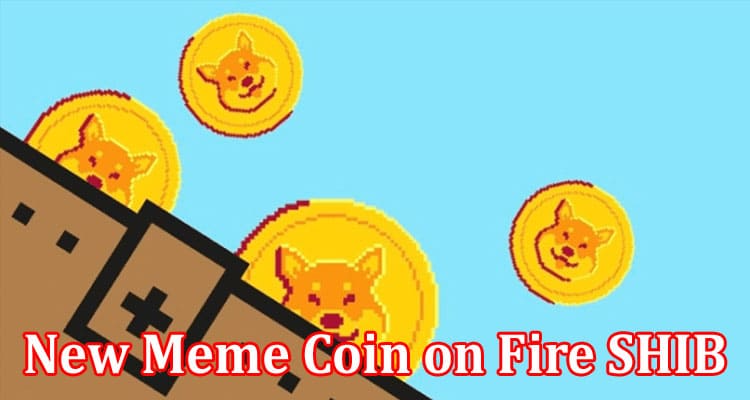 New Meme Coin on Fire SHIB and DOGE Investors Buying
