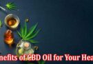 Benefits of CBD Oil for Your Health