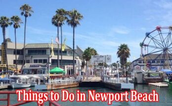 Complete Information About Best Things to Do in Newport Beach