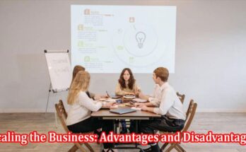Scaling the Business Advantages and Disadvantages